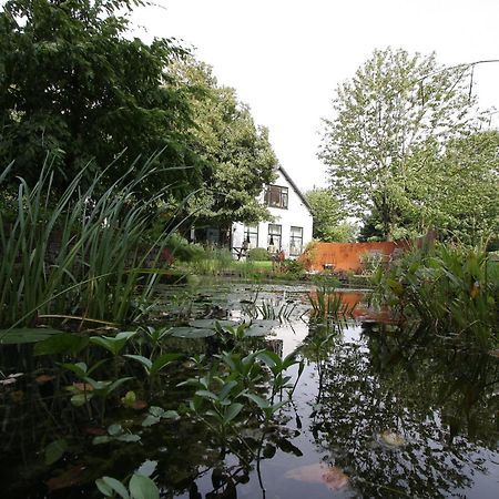 Bed and Breakfast De Witte Wolk Nieuw-Scheemda Exteriér fotografie