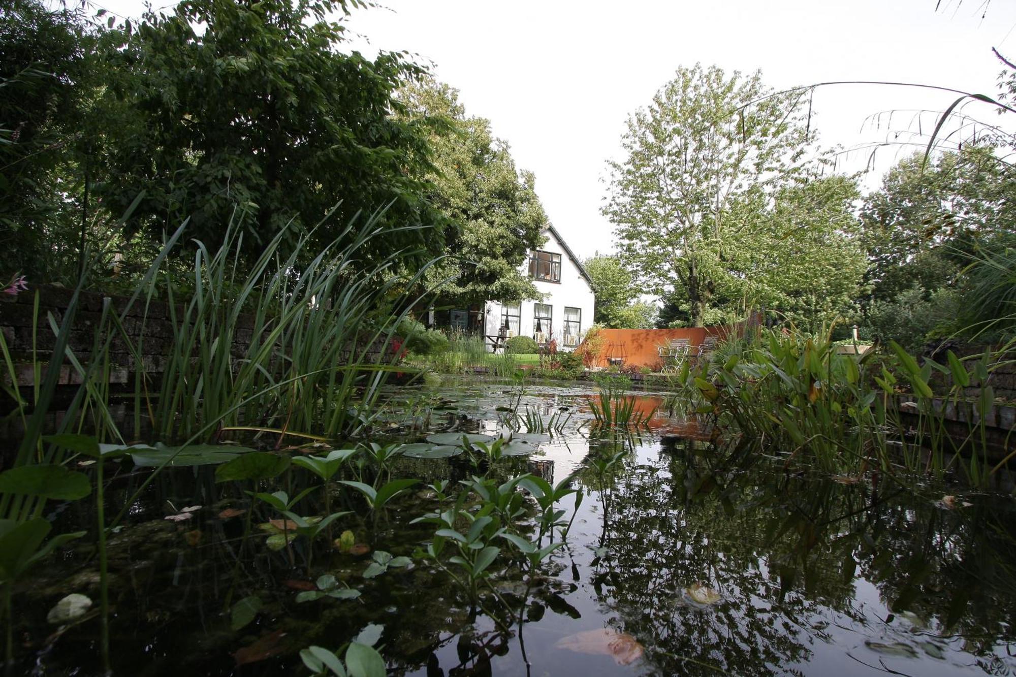 Bed and Breakfast De Witte Wolk Nieuw-Scheemda Exteriér fotografie